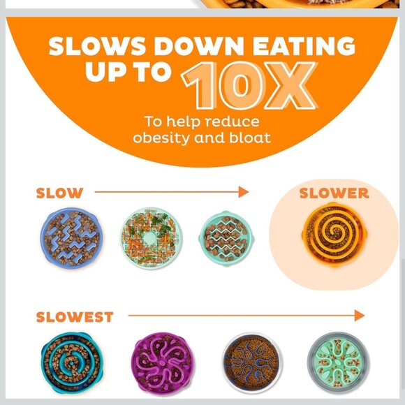 OUTWARD HOUND Fun Feeder Dog Bowl Interactive Slow Eating 10" x 2" - Picture 5 of 9